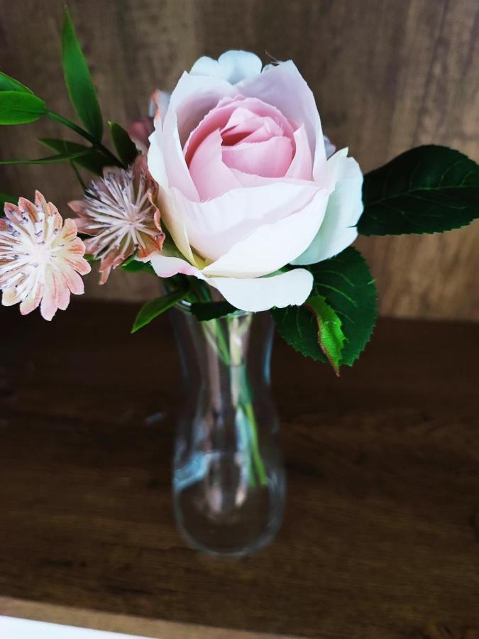 Apartmán White Rose Studio Basement Budapešť Exteriér fotografie